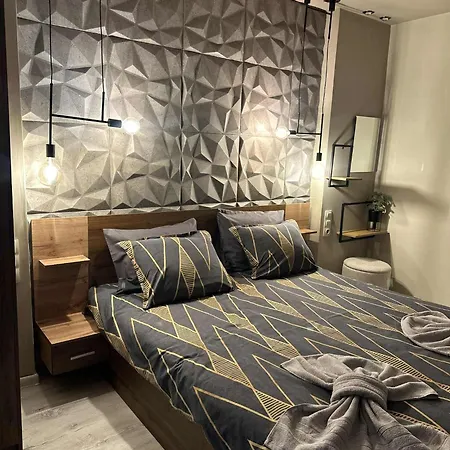 рилски чардак 2* サパレヴァ・バニャ