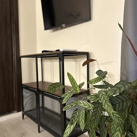 рилски чардак 2* サパレヴァ・バニャ