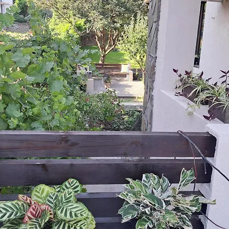 בית הארחה рилски чардак ספרבה בניה