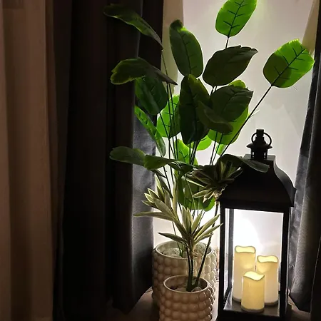 рилски чардак サパレヴァ・バニャ