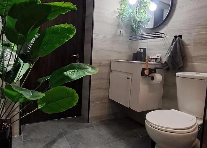 рилски чардак Къща за гости 2*