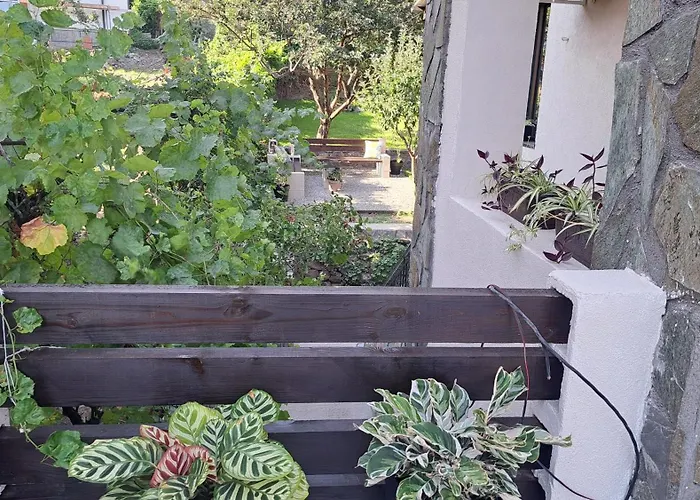 Къща за гости рилски чардак Сапарева Баня